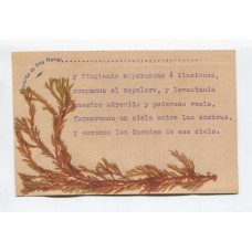 ANTARTIDA ARGENTINA 1902 TARJETA POSTAL ISLA DE AÑO NUEVO TIERRA DEL FUEGO CONFECCIONADA CON ALGAS, HUBO ALLI VARIAS EXPEDICIONES CIENTIFICAS FECHA TENTATIVA